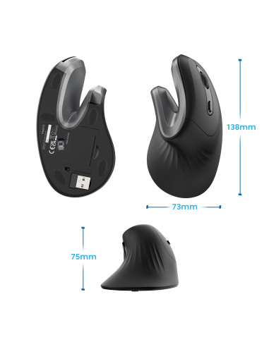 EWENT Rato Wireless Ergonómico | 2.4Ghz | USB-A Nano |1200, 2400, 3200