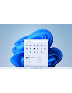 Sistema Operativo Windows 11 Home 64 Bits Inglês (EN) DVD - Licença OEM 2