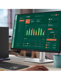 Monitor Dell Pro 24 Plus P2425D IPS Edge LED 24" QHD 16:9 100Hz 2