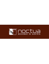 NOCTUA